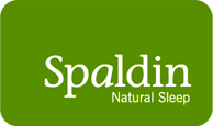 logo_spaldin