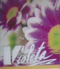 violeta logo